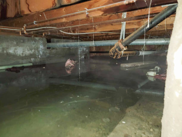 Best Water damage restoration near me  in Minneapolis, KS