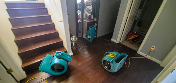 Best Flood restoration services  in Minneapolis, KS