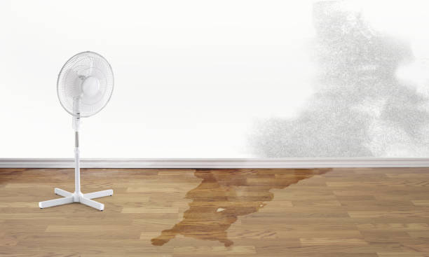 Best Emergency water damage restoration  in Minneapolis, KS