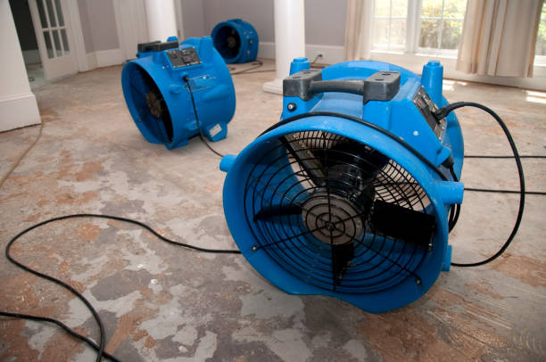 Reliable Minneapolis, KS Water damage restoration Solutions