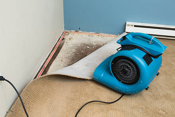 Best Water damage contractors near me  in Minneapolis, KS